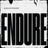 Endure | Black LP